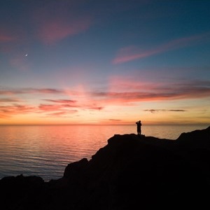 Thought for the Week: Not seein the wood for the trees